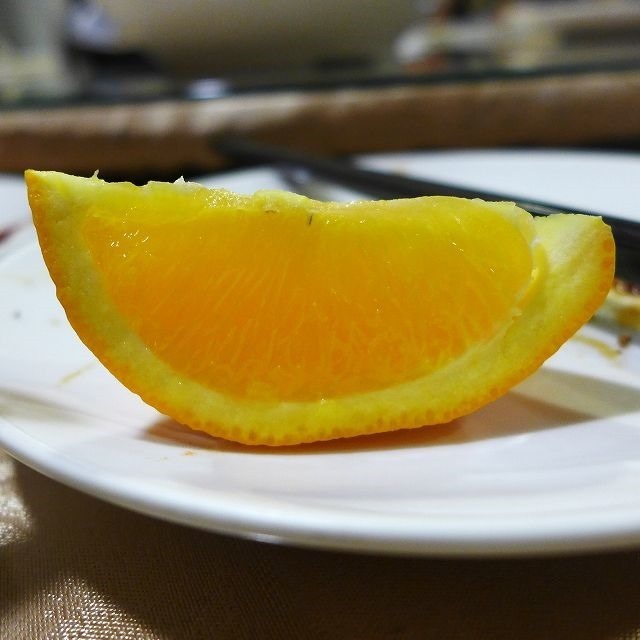 P1310899