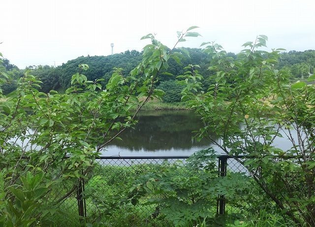P1340722