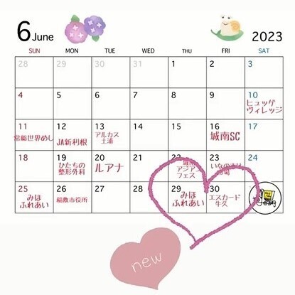 schedule.jpg