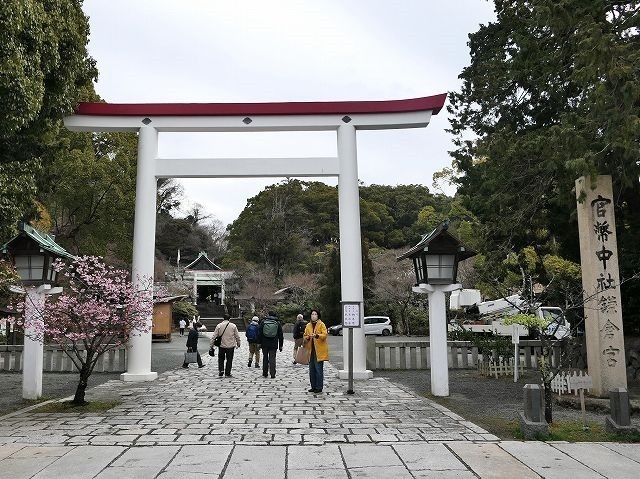 P1000711