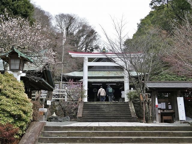 P1000713